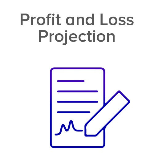 Profit and Loss Projection Icon