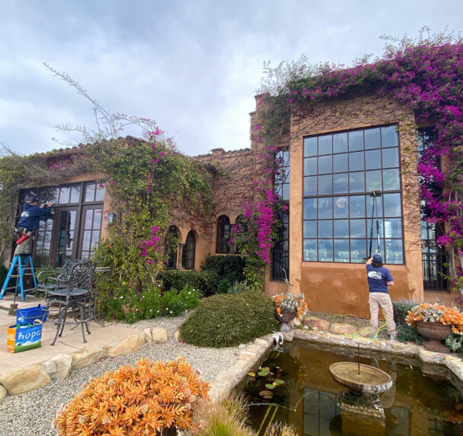 Two Window Cleaners Squeegee an Ivy Covered Brick House