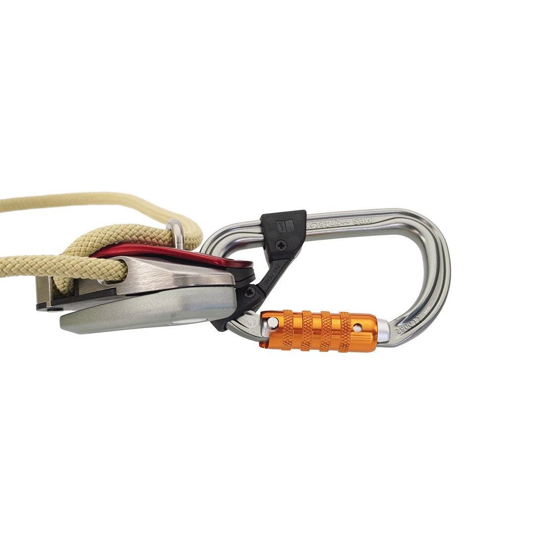 Petzl EXO AP Hook Front View