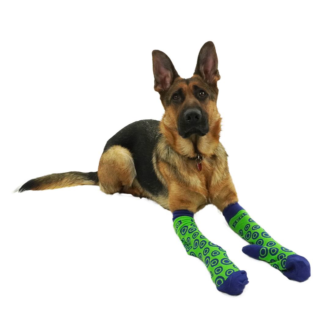 XERO Socks Vega View