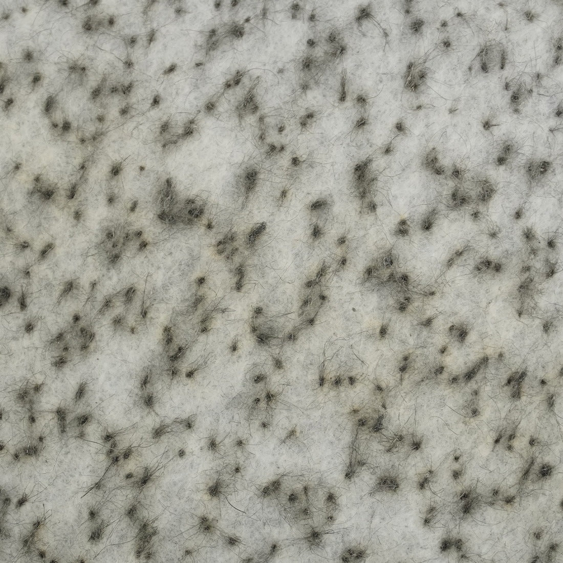 JFlint Steel Wool Polishing Pad - 5 Inch Back Zoomed View