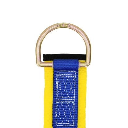 Gemtor Webbing Sling Anchor D Ring View