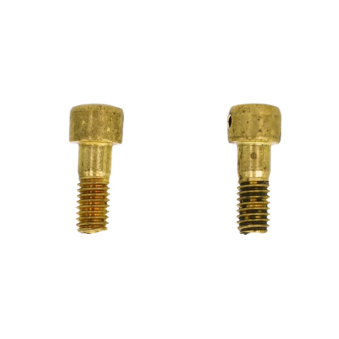 Ettore Top Clip Spring Pin for Quick Release Squeegee Handle Dual Screw View