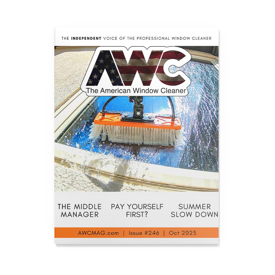 AWC Magazine - Issue 246 Cover View