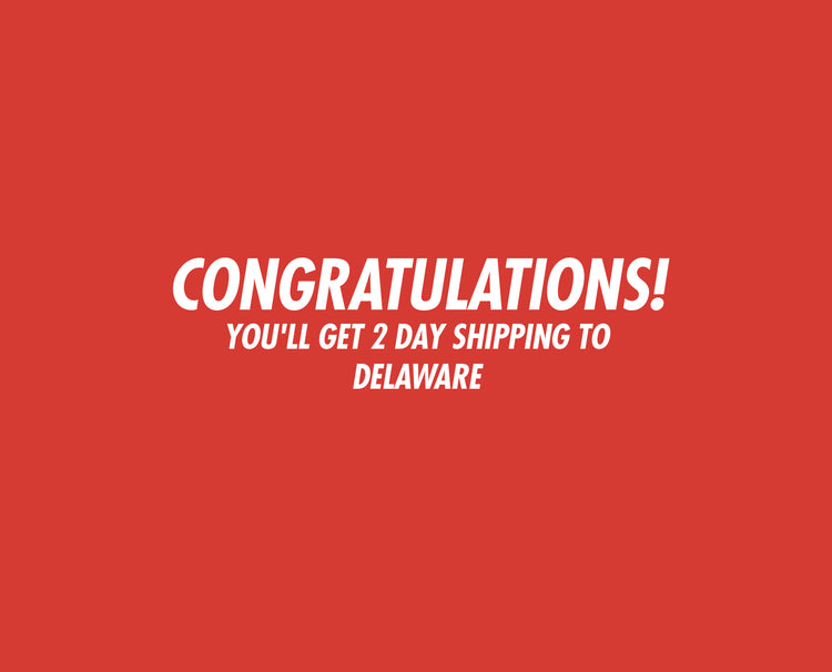 Congratulations Delaware Residents! You'll get 2 day shipping on your Window Cleaning Supplies.