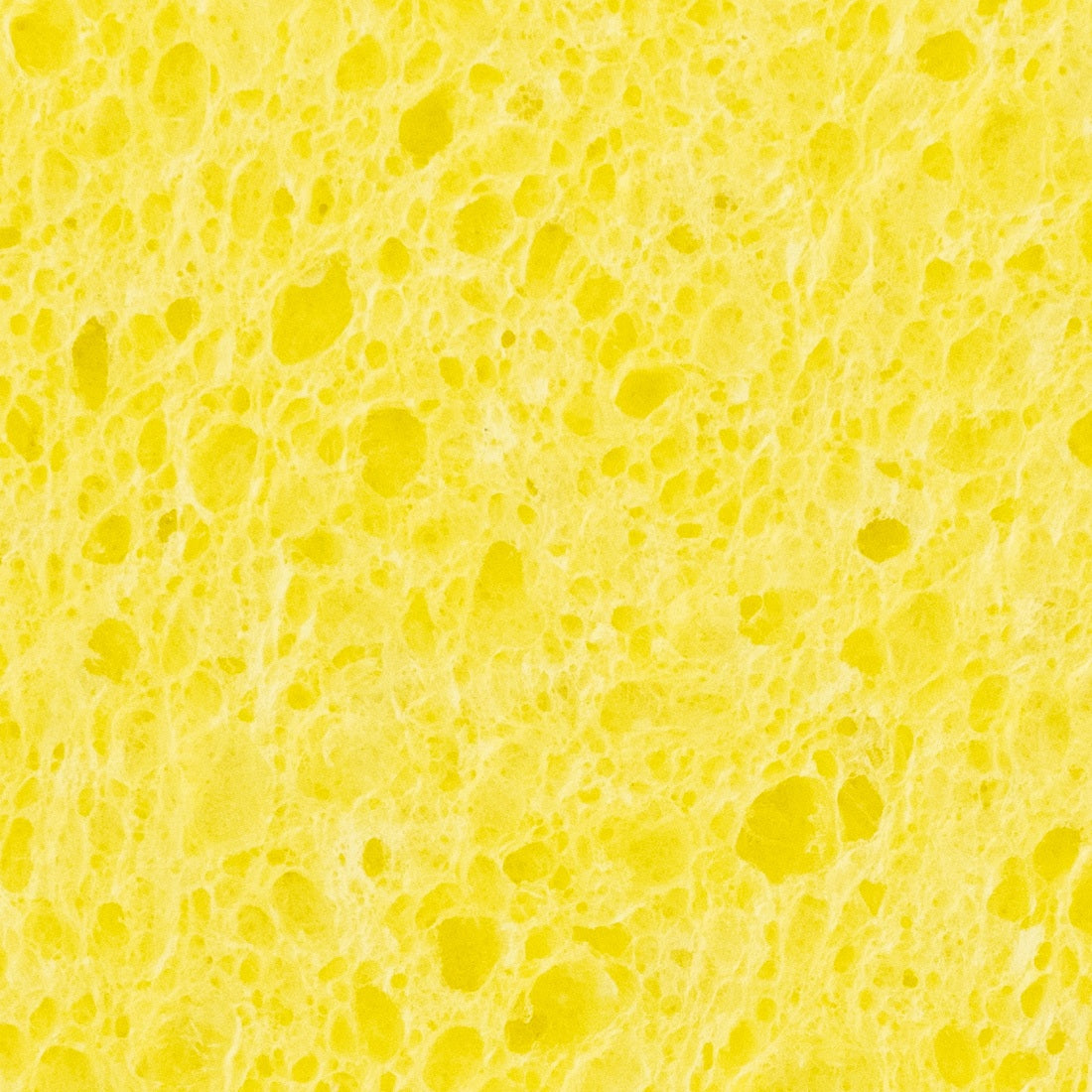 NICE Cellulose Sponge Zoom View