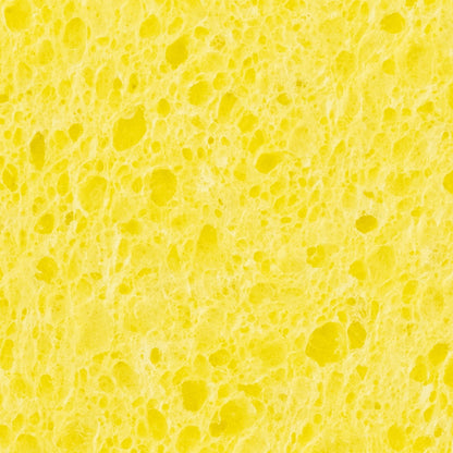 NICE Cellulose Sponge Zoom View