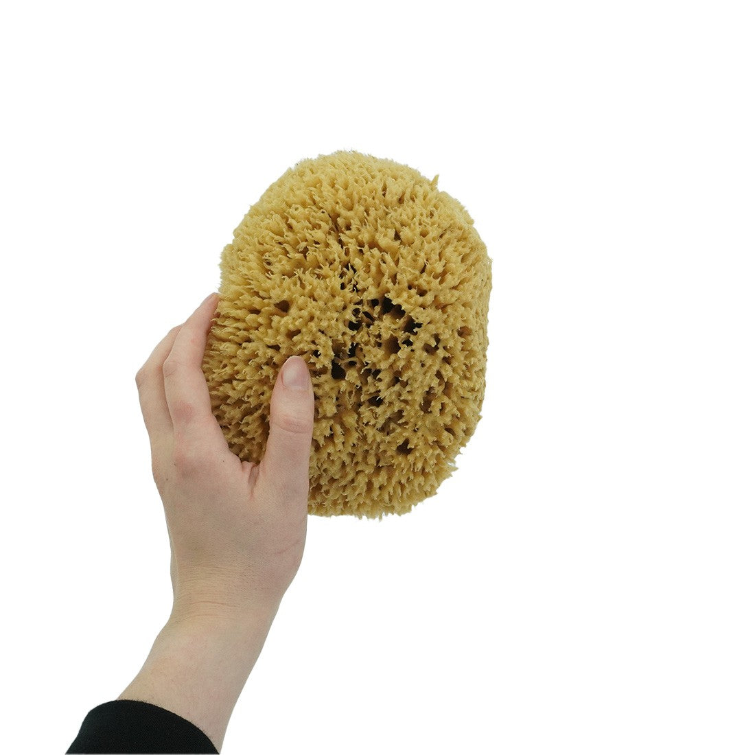 NICE Natural Sea Wool Sponge Large View