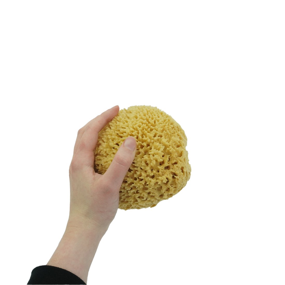 NICE Natural Sea Wool Sponge Med View