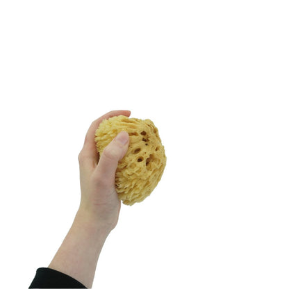 NICE Natural Sea Wool Sponge Small View