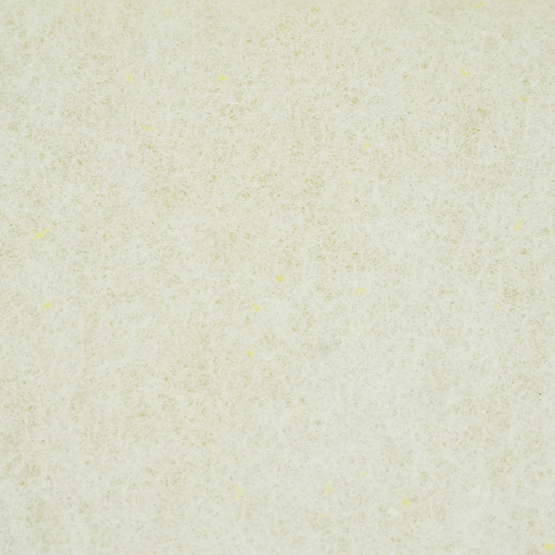 NICE Sponge with Backing Pad - White Light Side View