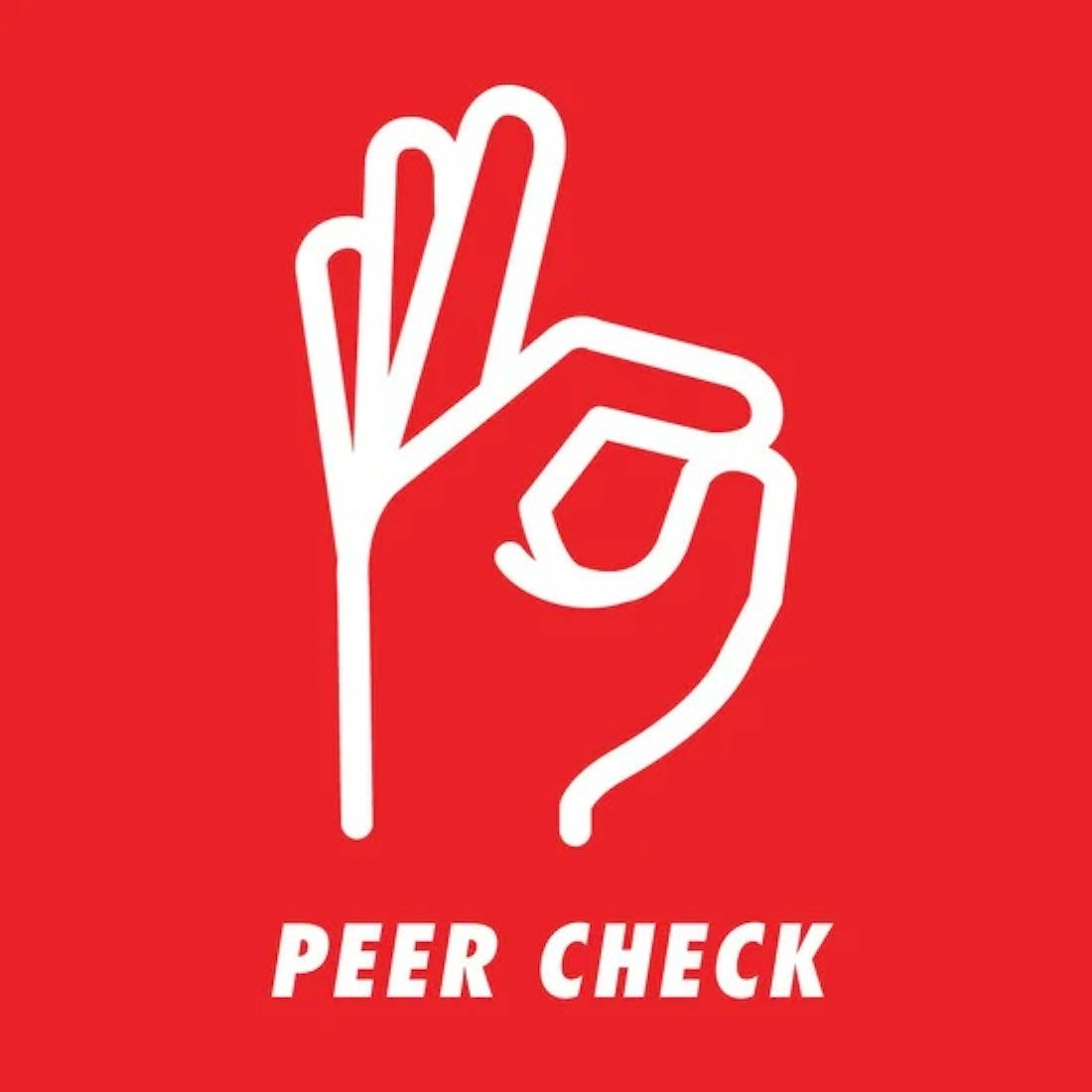Peer Check Meeting Sheet Main View