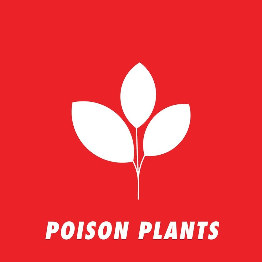 Poison Plants Meeting Sheet Main View
