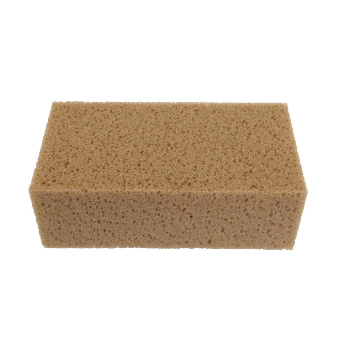 Pulex Sponge for Clamp Top Angle View