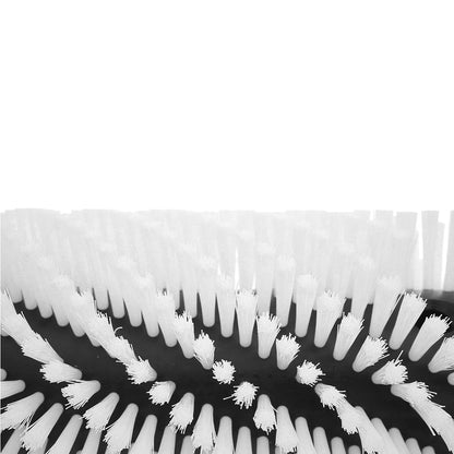 QLEEN Classic Replacement Brush Bristle View