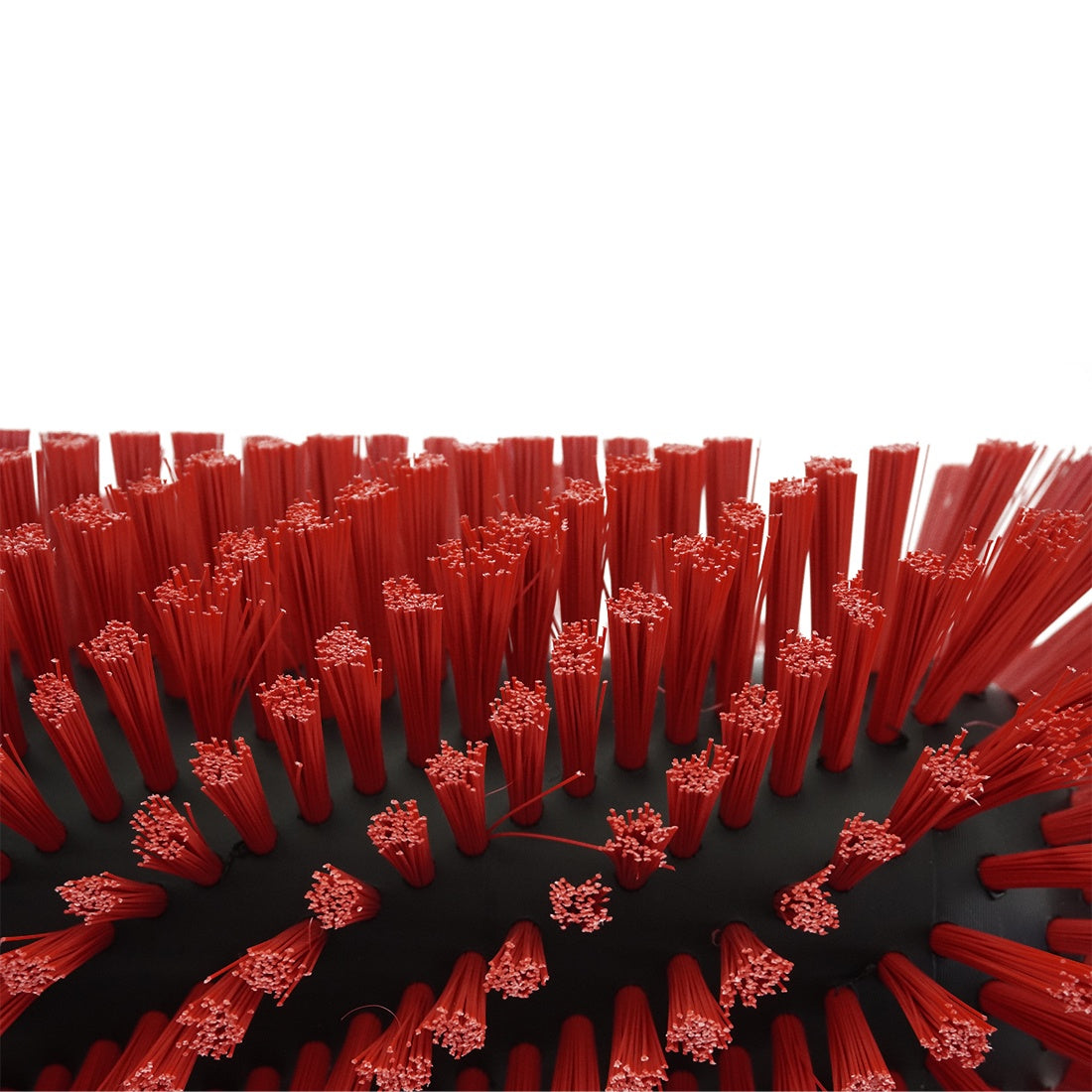 QLEEN Classic Replacement Brush Solar Bristle View