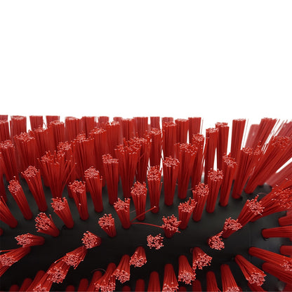 QLEEN Classic Replacement Brush Solar Bristle View