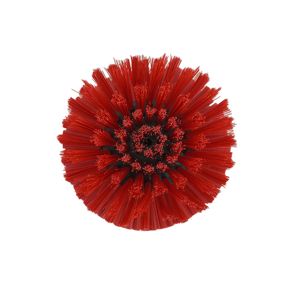 QLEEN Classic Replacement Brush Solar End View