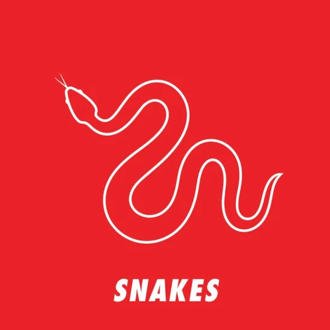 Snakes Meeting Sheet Main View