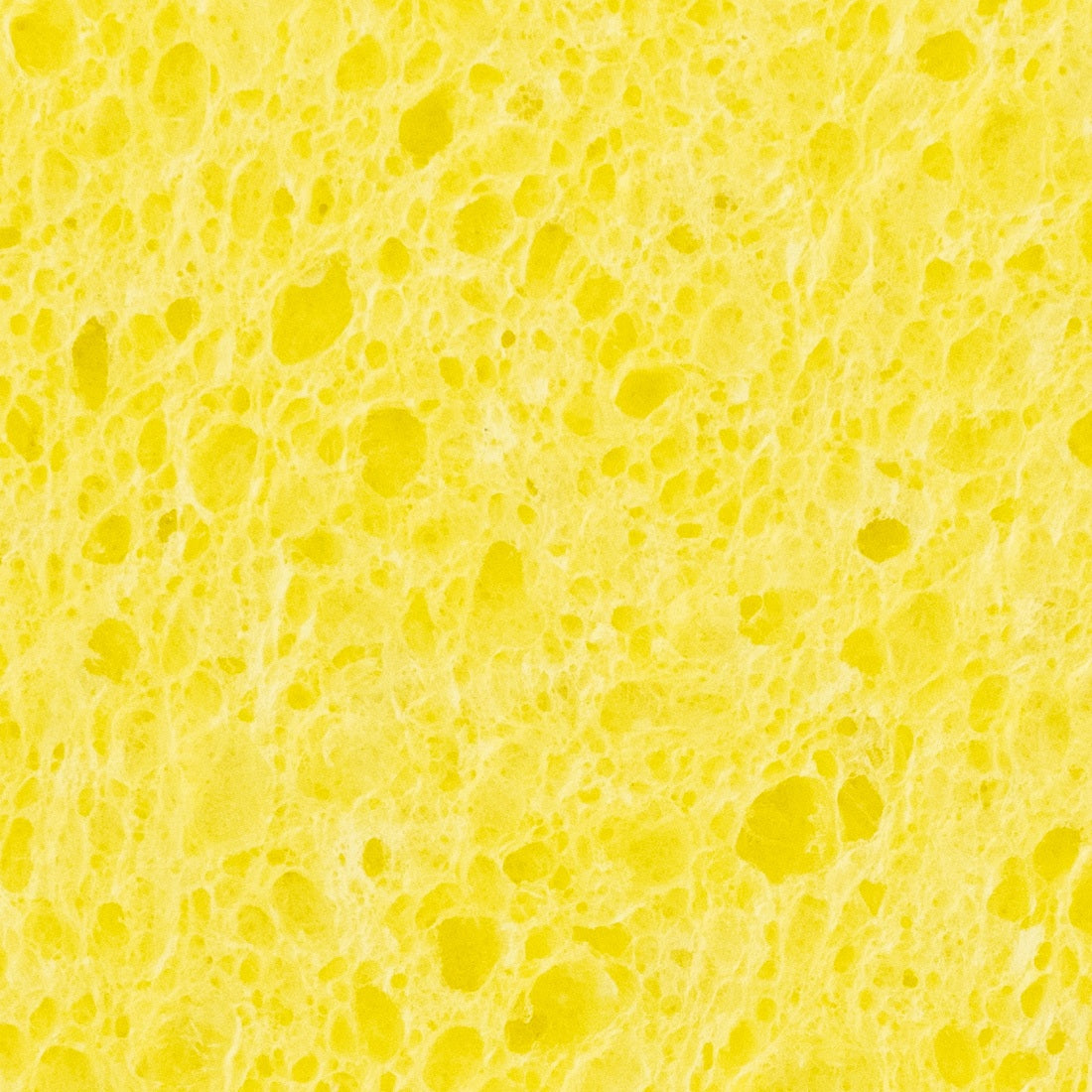 World Enterprises Cellulose Sponge Zoom View