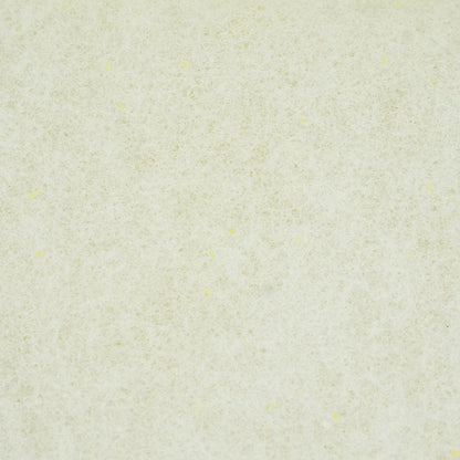 World Enterprises Sponge with Backing Pad - White Light Side View