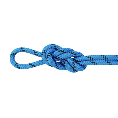 Petzl AXIS Rope Blue - Tied View