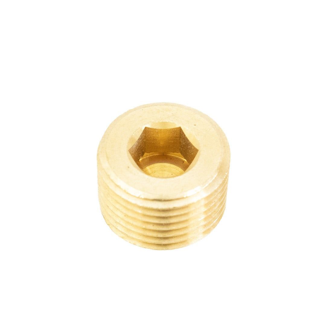 Pulex Brass Fitting - 1/2 NPT Socket Hex Plug - Zoomed Out Bottom View