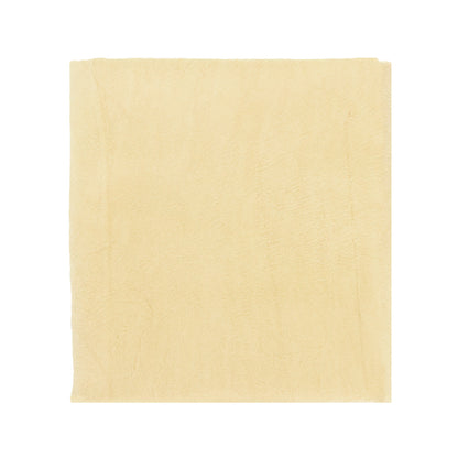 S.M. Arnold Leather Chamois Square View