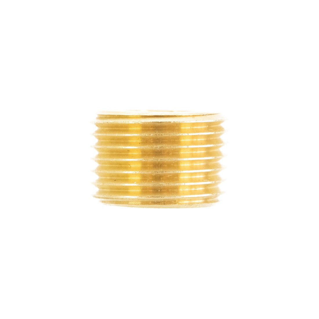 Pulex Brass Fitting - 1/2 NPT Socket Hex Plug - Front View