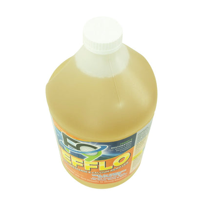 F9 Efflorescence Calcium Remover Top View