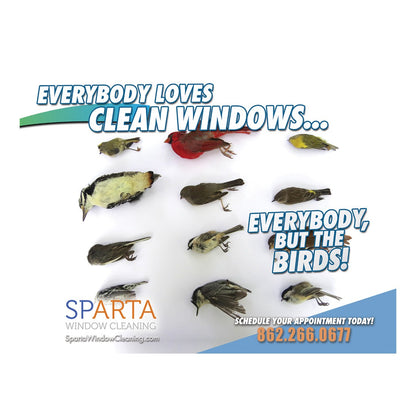Everybody But The Birds Design Suite - Large Postcard - Front View