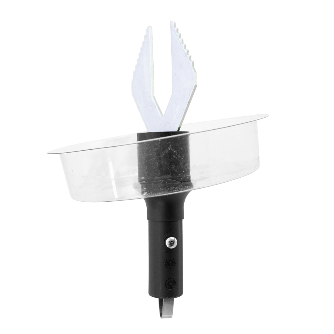 Unger Bebbe - Upright View