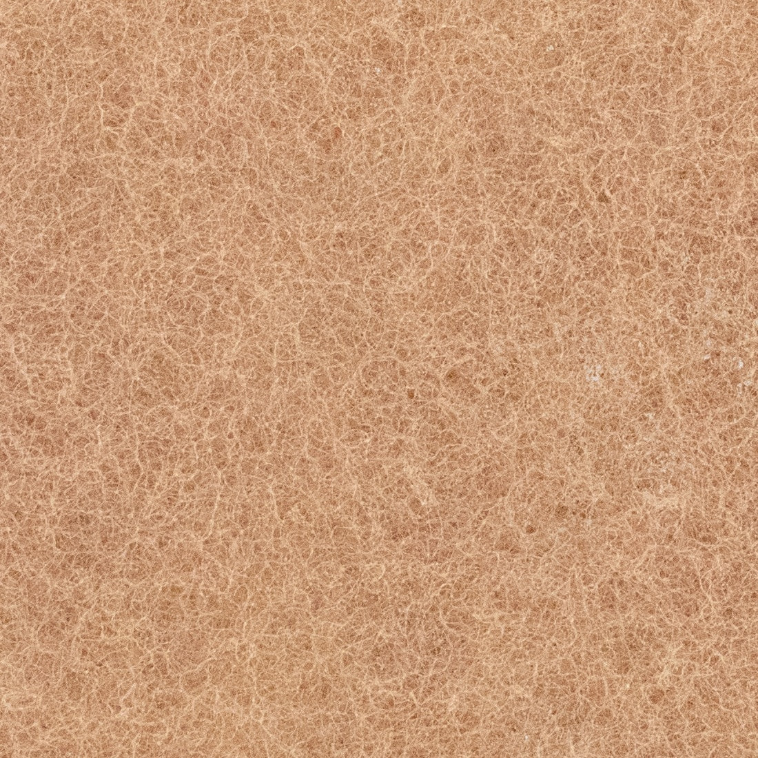 XERO Walnut Scrub Pad Close-up View