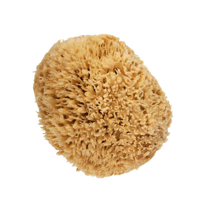NICE Natural Sea Wool Sponge - Top Main View