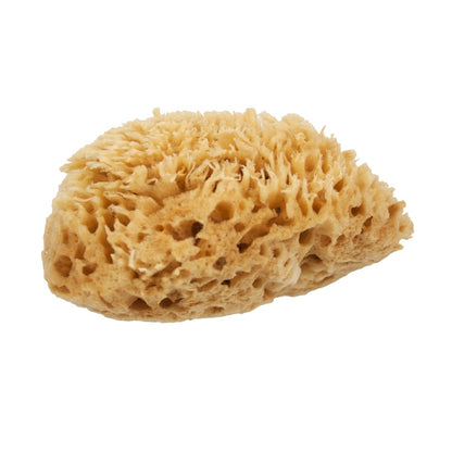 NICE Natural Sea Wool Sponge - Side View #2