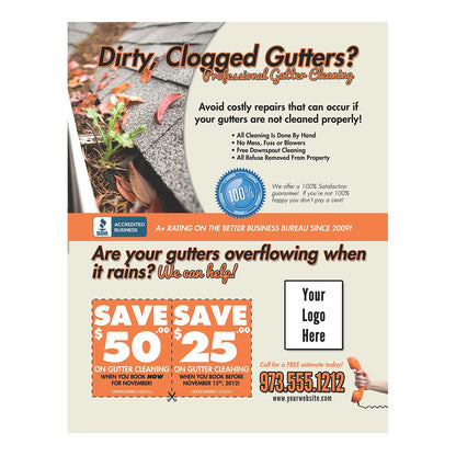 Dirty Clogged Gutters Color Flier