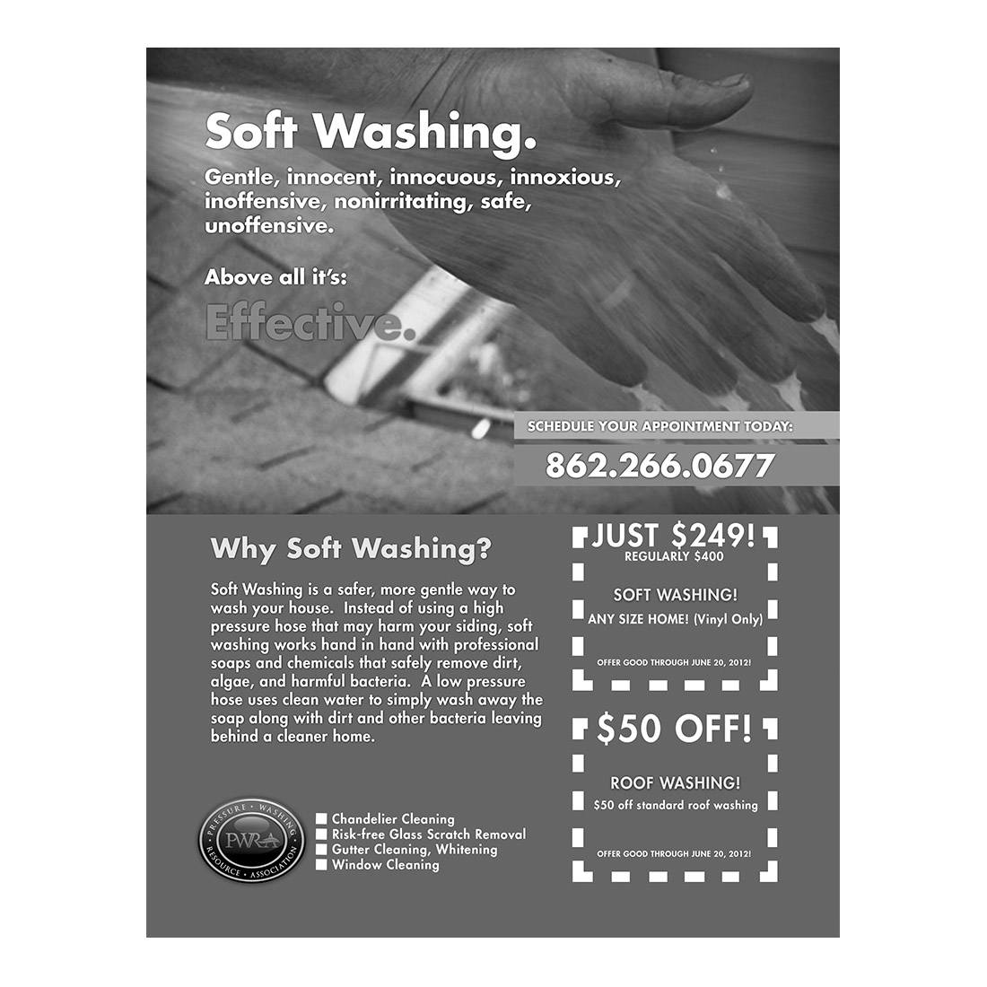 Soft Washing Black And White Flier