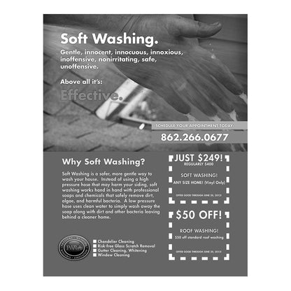 Soft Washing Black And White Flier