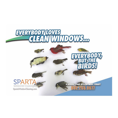 Everybody But The Birds Design Suite - Small Postcard - Front View