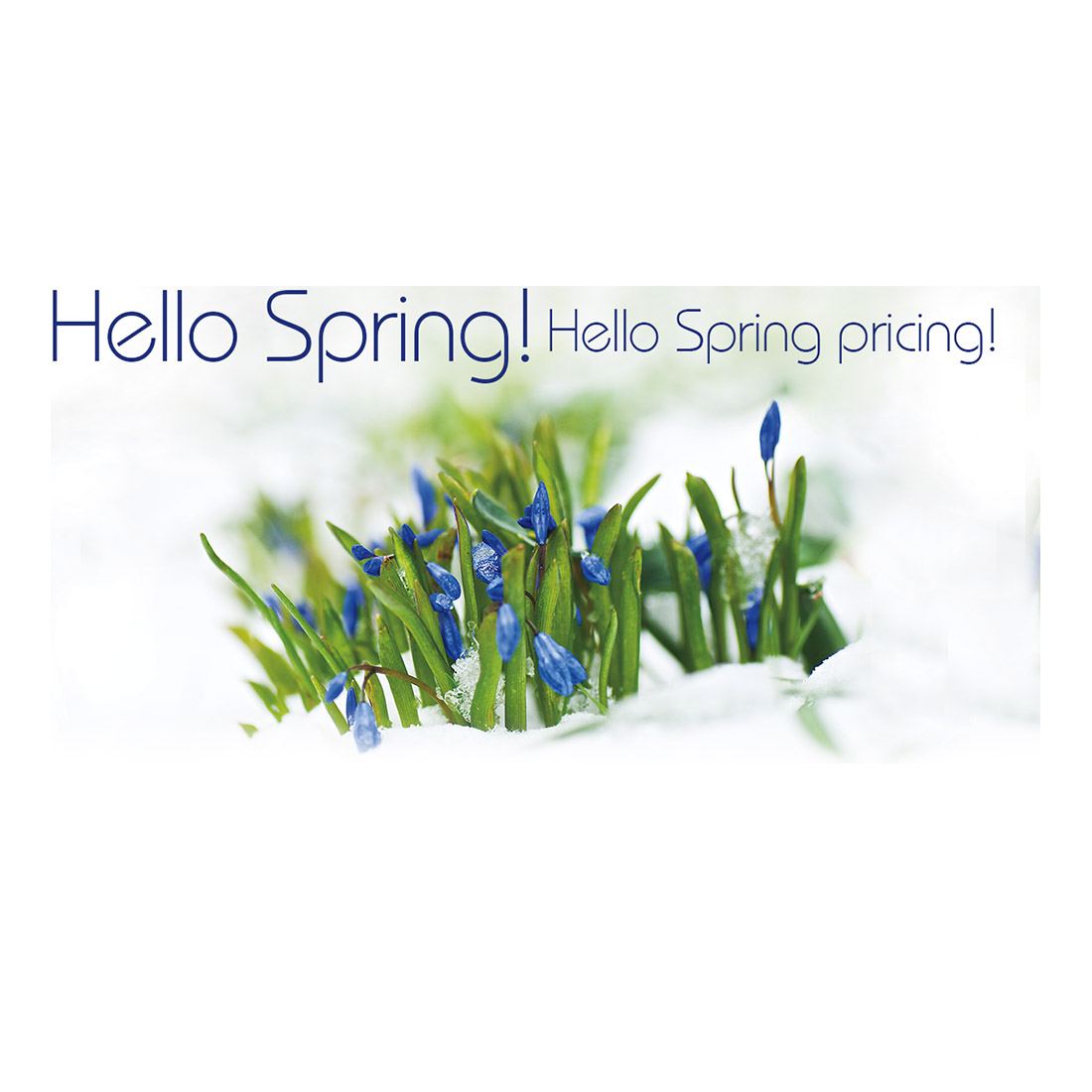 Hello Spring Facebook Ad