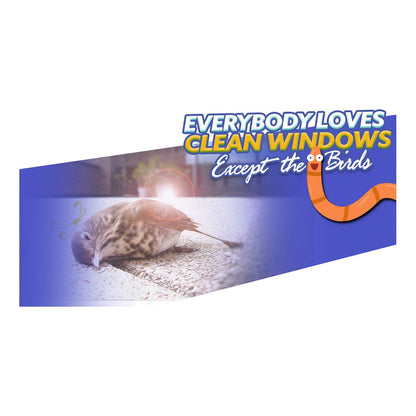 Except The Birds Design Suite - Facebook Ad View