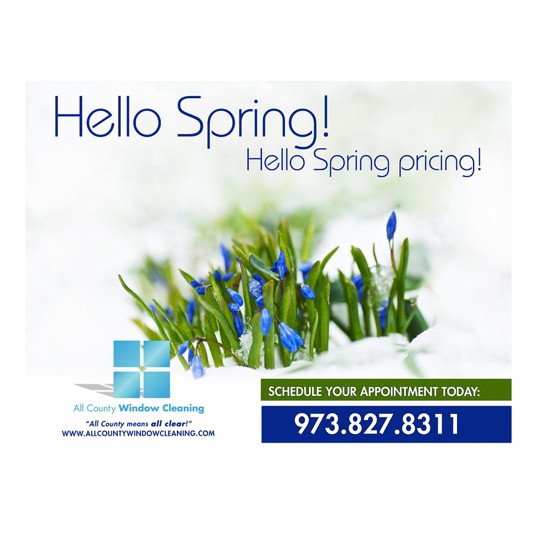 Hello Spring Large Postcard Front Design