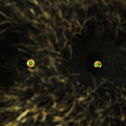 Pulex Boars Hair Slide Brush Detailed Brissles and Water Jet View