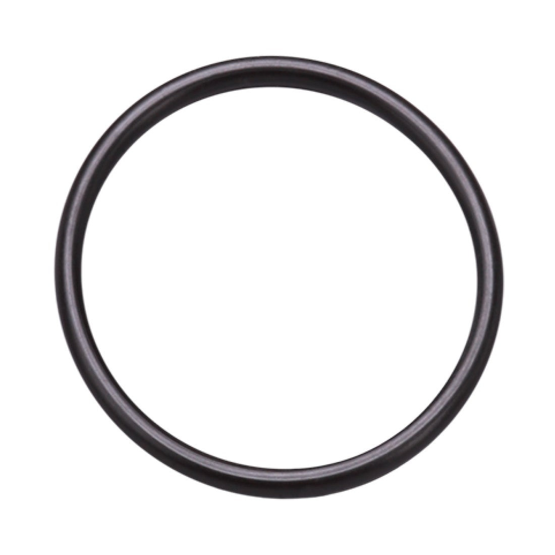 Pulex Replacement O-Ring Kit for Hydro Cart Carbon / Sediment Housing - Top View