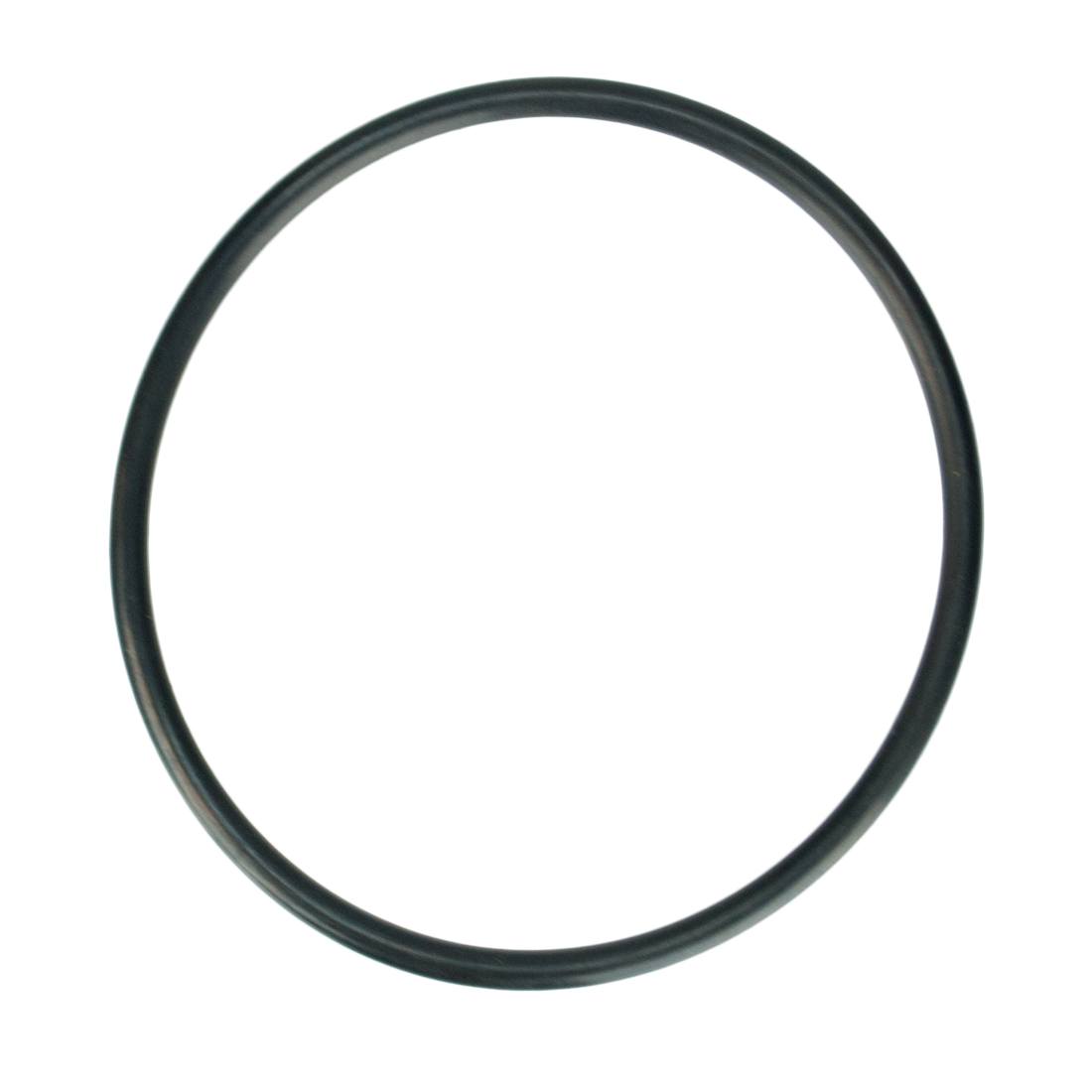 Pulex Replacement O-Ring Kit for Hydro Cart Carbon / Sediment Housing - Bottom View